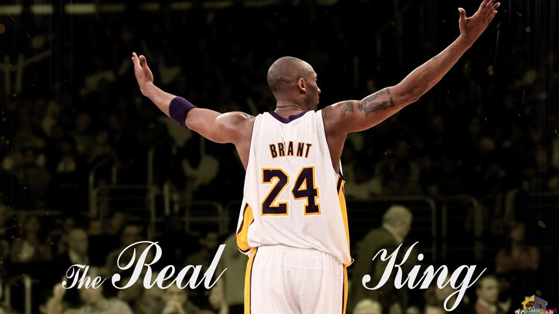 电竞摄影师的视角：捕捉精彩瞬间与记录历史，电竞形象照